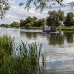 Around and about Ely