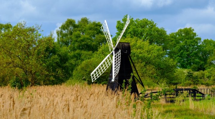 Wicken Fen National Nature Reserve